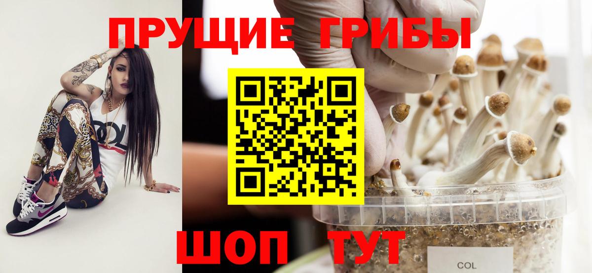 Псилоцибиновые грибы Psilocybine cubensis Пенза