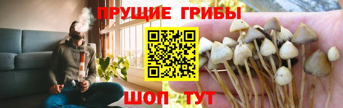 Пенза  Псилоцибиновые грибы мухоморы  Вход с VPN 